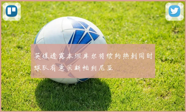 英媒透露本坦库尔将续约热刺同时球队有意买断帕利尼亚