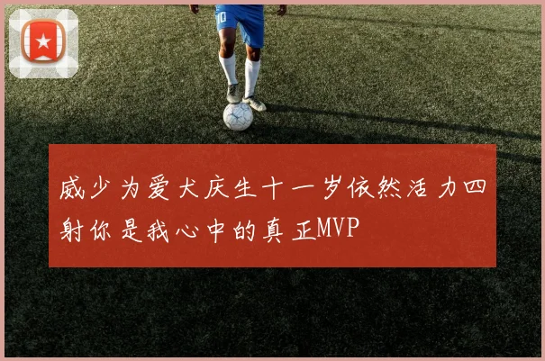 威少为爱犬庆生十一岁依然活力四射你是我心中的真正MVP
