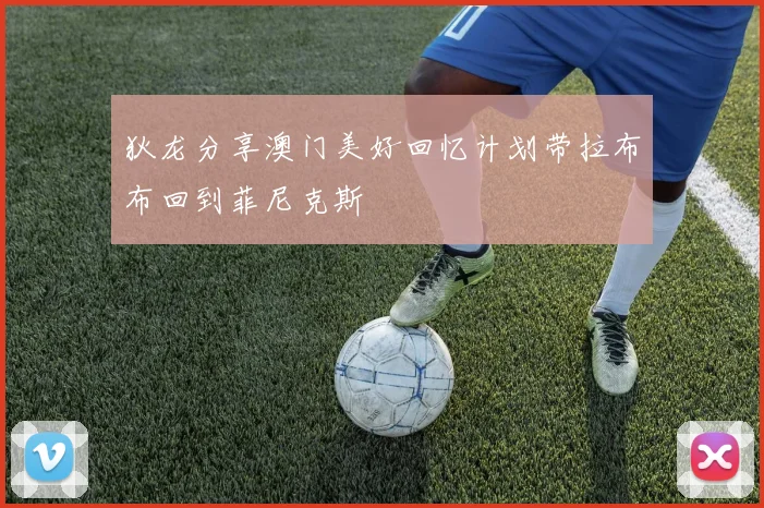 狄龙分享澳门美好回忆计划带拉布布回到菲尼克斯