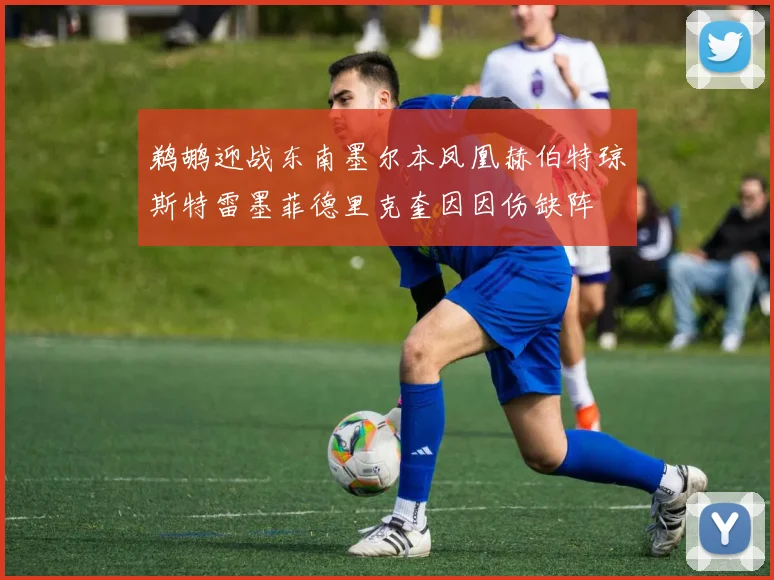 鹈鹕迎战东南墨尔本凤凰赫伯特琼斯特雷墨菲德里克奎因因伤缺阵