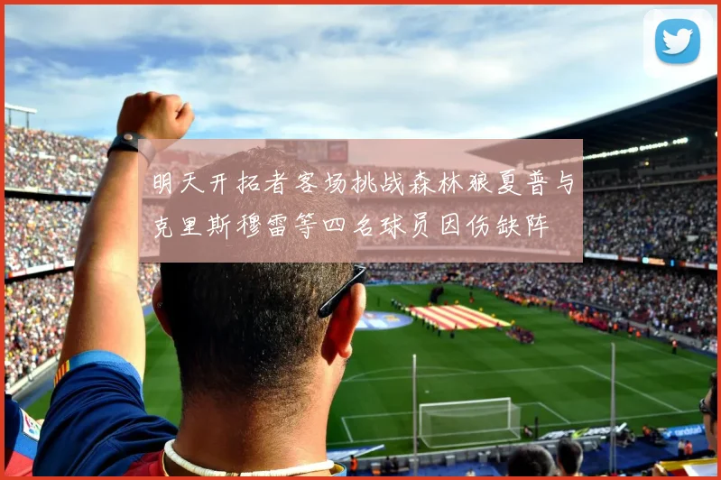 明天开拓者客场挑战森林狼夏普与克里斯穆雷等四名球员因伤缺阵