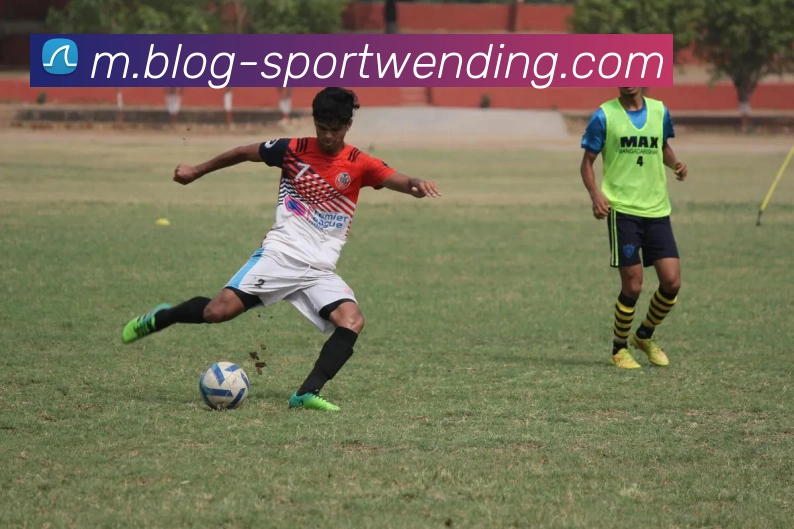 问鼎娱乐平台生态图